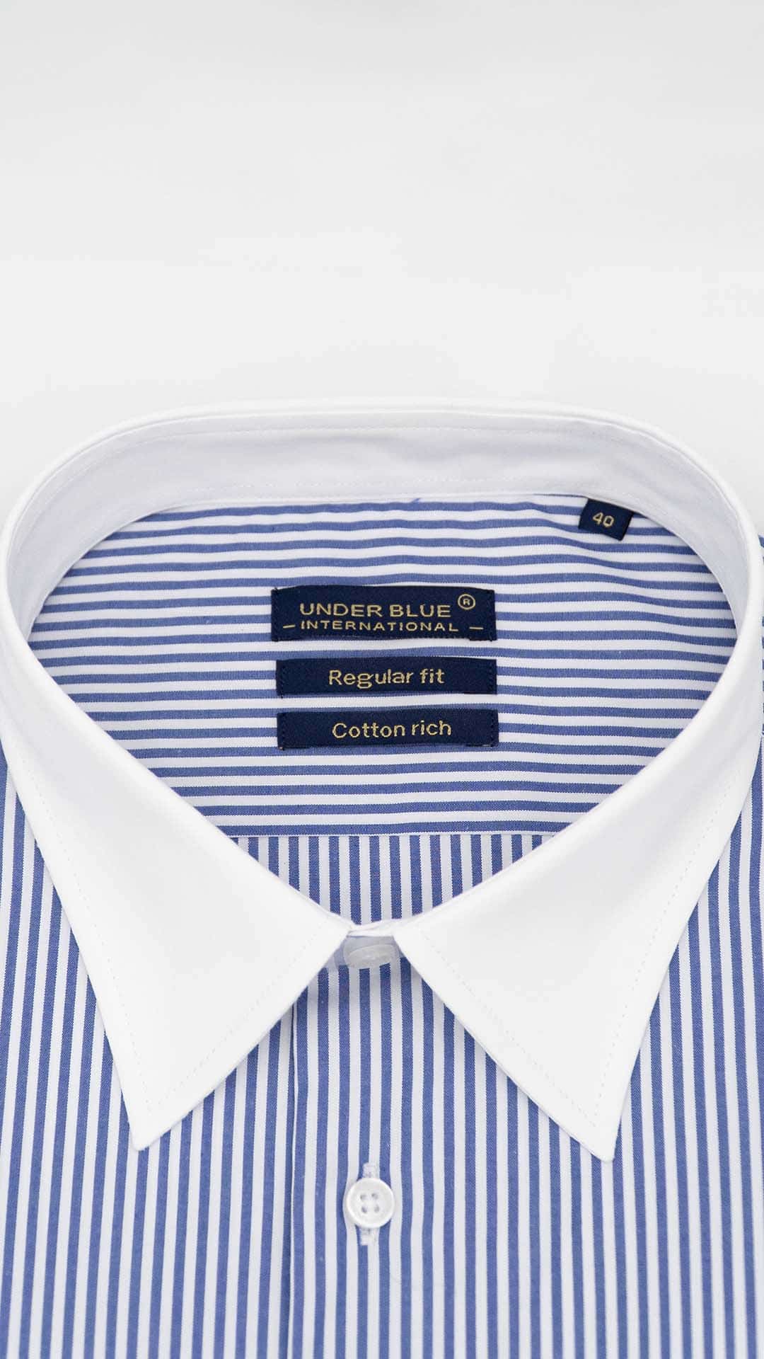 Camisa Regular Clássica Branca com Riscas Azuis